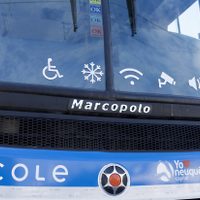 Viajar en colectivo será gratis en Neuquén capital