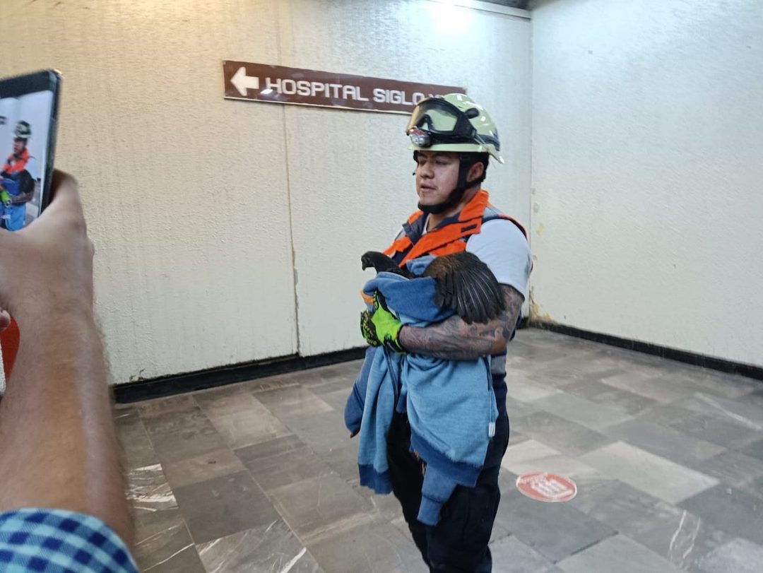 sara gallina metro 