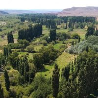 Cuántas y cuáles son: las localidades de Neuquén que están libres de coronavirus