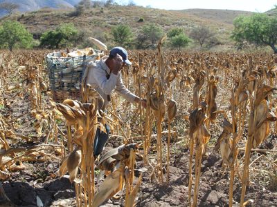 Los ejidatarios están interesados en la legalidad de sus tierras