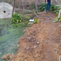 Vecinos de Villa Obrera en Centenario reclaman respuesta ante el desborde de una laguna