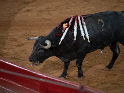 Diputados de Michoacán prohíben las corridas de toros, aunque dejan vía libre a las peleas de gallos