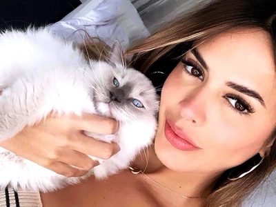 “¡En la cama no!” Shannon De Lima pone en riesgo su cobertor y fascina a sus fans