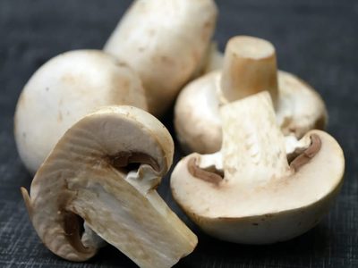 Están carísimos: cómo reproducir tus propios champiñones con elementos que tenés en casa