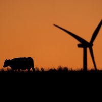 El mundo se enfila a olas de calor más graves, incendios forestales, tormentas y sequías
