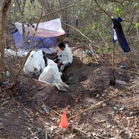 Ya son 36 los cuerpos hallados en fosas clandestinas de Tecomán, Colima