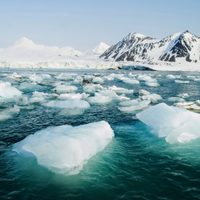 Cambio climático: detectaron la presencia de un pez tropical en el océano Ártico