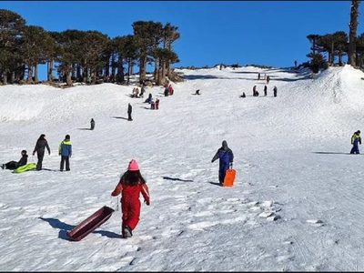 La concesionaria de Primeros Pinos respondió a la denuncia de una turista por falta de atención