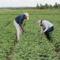 El INIFAP, emplazado a huelga una vez más