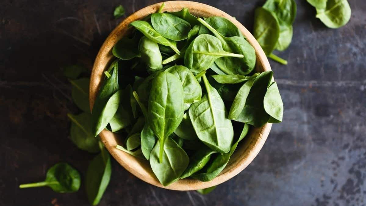 Albahaca. Fuente: (X)