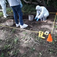 Detención de pareja condujo a localizar 9 cuerpos en fosas clandestinas en Colima