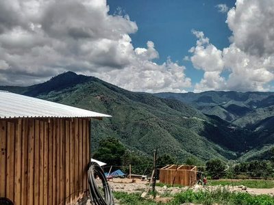 Oaxaca: Desterrados por su riqueza forestal