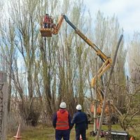 Realizaron la poda de alamedas en el Aeropuerto de Neuquén