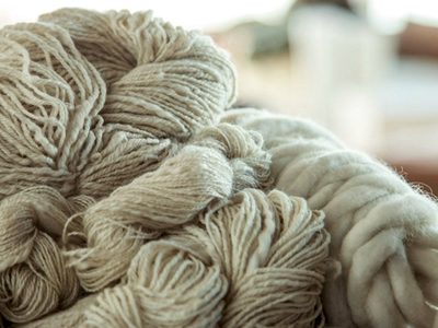 Zapala: expectativa de productores de mohair para comercializar la fibra