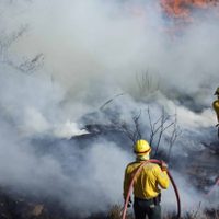 Los tres principales incendios registrados en BC están controlados: Protección Civil