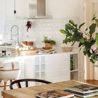 Con 2 potentes ingredientes, el secreto para eliminar el olor a comida recién hecha en tu cocina