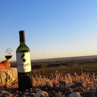 La Patagonia se posiciona en el Enoturismo con 20 bodegas abiertas al público