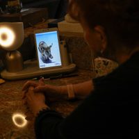 Robot que habla ayuda a ancianos a combatir la soledad con uso de la IA