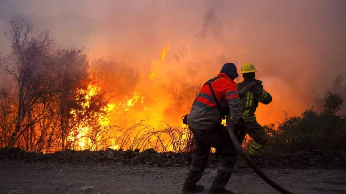 Bomberos. Fuente: (Instagram)