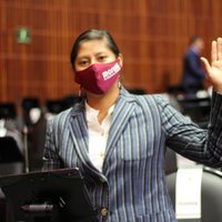 Morena propone que ONG dejen de recibir donaciones si “promueven golpismo”