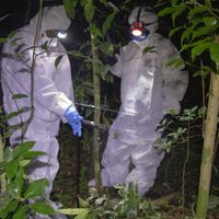 Hay al menos 850 mil virus activos en animales con capacidad de infectar a seres humanos: IPBES