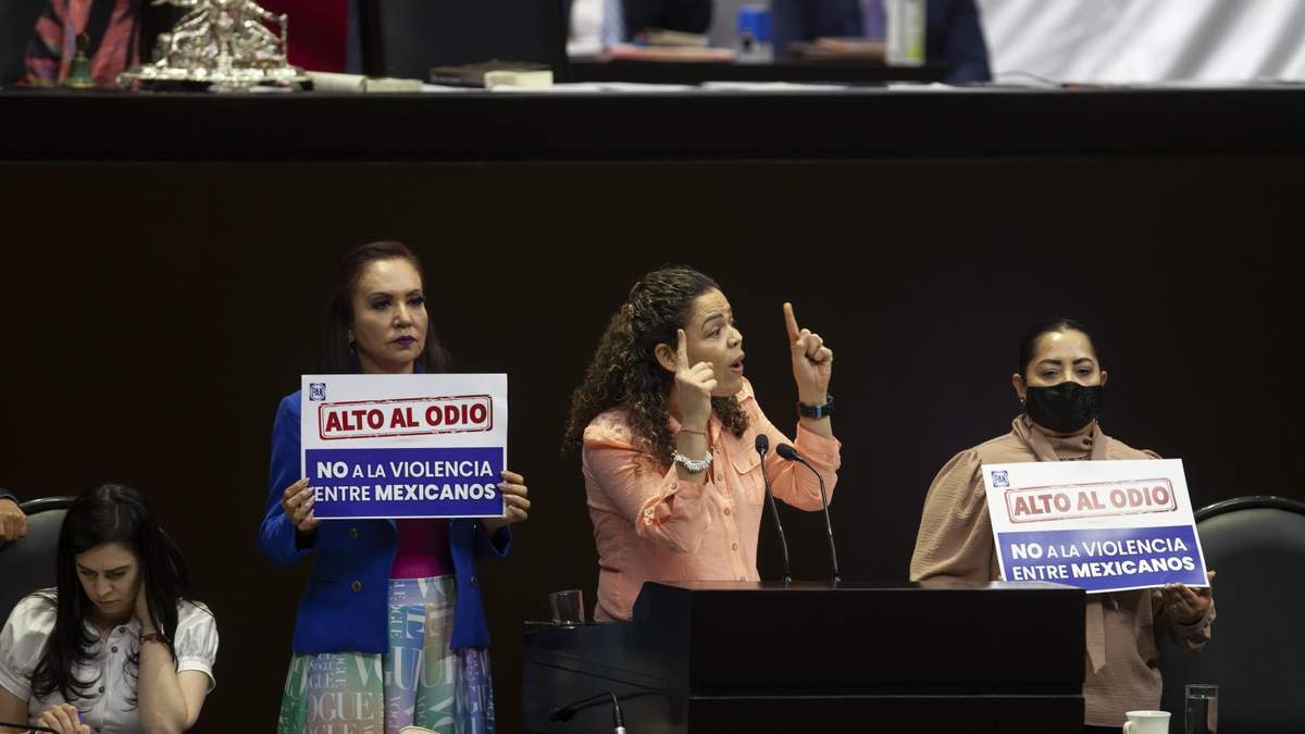 Mariana Gómez del Campo desde tribuna