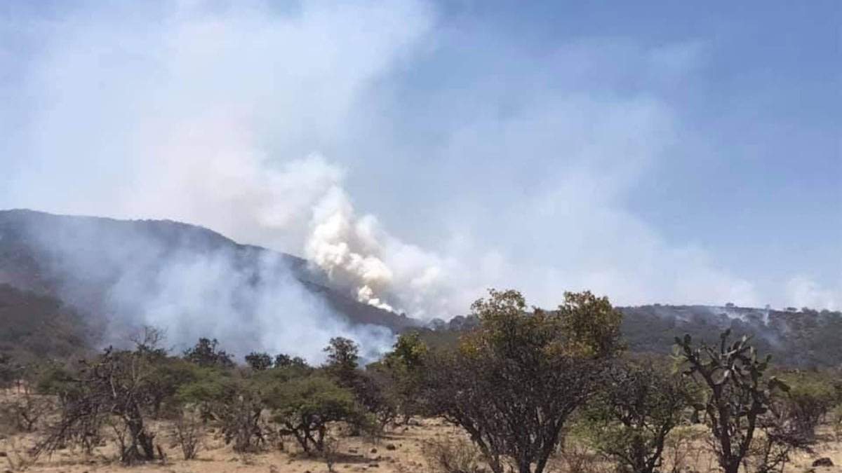 Un incendio en el estado
