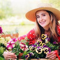 Con ingredientes caseros: el secreto mejor guardado para que las plantas recuperen sus flores