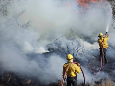La Conafor reporta 71 incendios forestales activos en el país