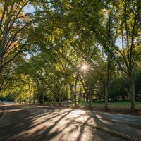 El domingo llega con sol y un ascenso de la temperatura