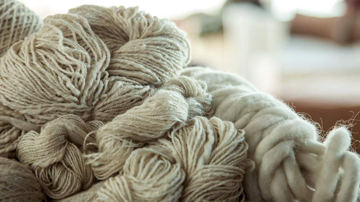 Comenzó el proceso de venta de fibra mohair. Fuente: (Twitter).