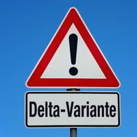 Chile confirma que la variante Delta pasó a ser su principal foco de contagios