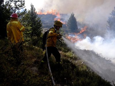 Incendios: cómo sigue la situación en la Patagonia