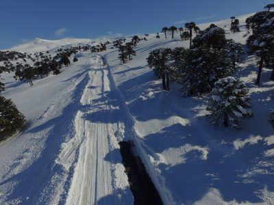 Se habilitó el paso Pino Hachado, pero cuatro rutas se encuentran intransitables debido a la nieve