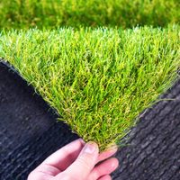 Descubrí los beneficios y desventajas del pasto sintético