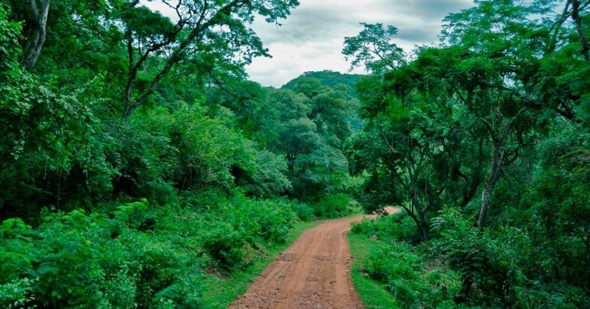 Preservación de zona de yungas. Fuente: (Instagram)