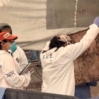 En fosa de Jojutla hallan más restos… la búsqueda no termina