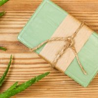 Natural y económico: la suculenta con la que podés hacer este poderoso jabón casero para nutrir tu piel