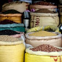 Mexicanos menosprecian los frijoles y esta es la razón