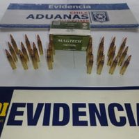 Detuvieron a un argentino que iba a Chile con proyectiles de fusil