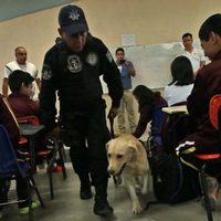 Mochila Segura es 'violatorio al derecho a la intimidad”: expertos de la ONU
