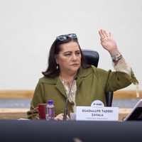Reforma electoral: Guadalupe Taddei, contra la eliminación del PREP