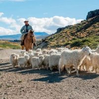 Sequía en Neuquén: despliegan capacitaciones a productores