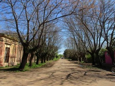 Sin salir de la provincia de Buenos Aires: 3 lugares que podés visitar en una escapada para una aventura turística
