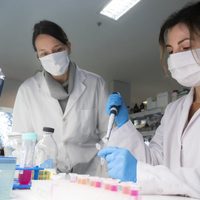 Récord de pacientes recuperados de coronavirus en Zapala, en una sola jornada
