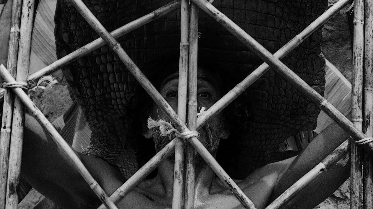 Fotografía del maestro oaxaqueño, Francisco Toledo