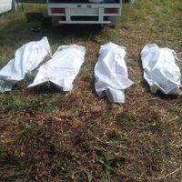 Suman 31 cuerpos hallados en fosas clandestinas de Chiapas