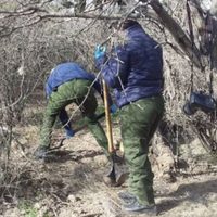 Hallan 10 cadáveres en fosa clandestina de Luis Moya, Zacatecas