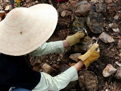 Localizan dos narcofosas con restos humanos en Guerrero