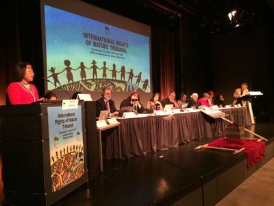 Tribunal de conciencia condena a varios Estados por ecocidio